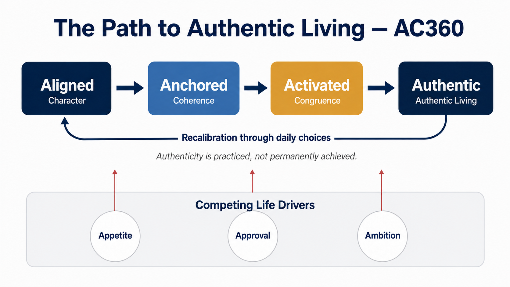 The Path to Authentic Living, AC360 diagram. Aligned (Character) leads to Anchored (Coherence), then Activated (Congruence), then Authentic (Authentic Living). A recalibration arrow loops back to Aligned. Beneath, three Competing Life Drivers, Appetite, Approval, and Ambition, press upward against the arc.